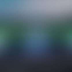 Rock Festival Nova Iguaçu traz Fresno, Di Ferrero, Detonautas e mais