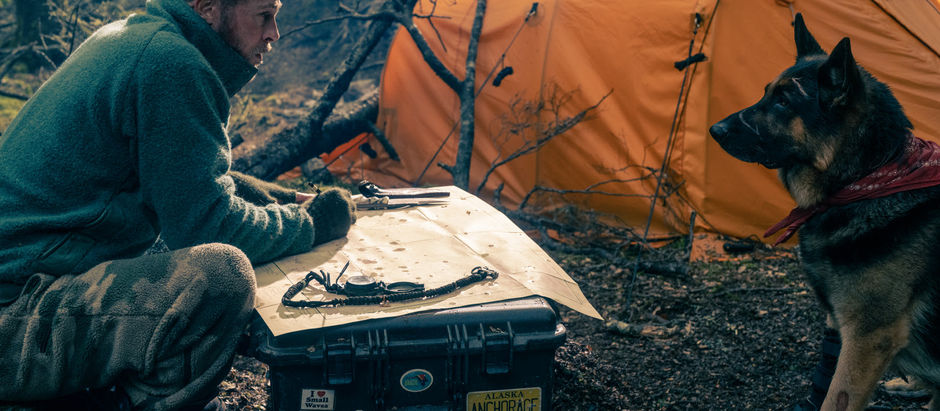 Com Brad Pitt e o cachorro Uber, novo trailer de 'Coração Selvagem' aprofunda atmosfera de tensão e jornada de sobrevivência