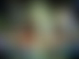 DJ EME lança "Felicidade" em parceria com Tomate para o Carnaval 2019!