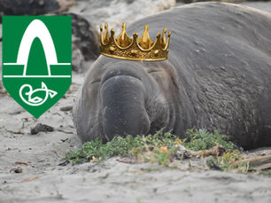 Kópa Bois: fyrirmyndir rappsins