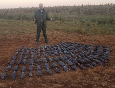 WhatsApp Image 2026-03-02 at 3.03.31 PM1.jpeg