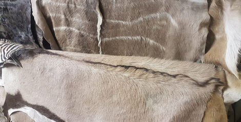 WhatsApp Image 2026-03-02 at 2.54.49 PM (1).jpeg