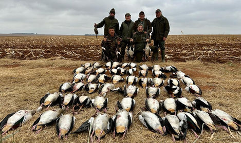 WhatsApp Image 2026-03-02 at 3.42.11 PM (1).jpeg