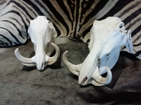 WhatsApp Image 2026-03-02 at 2.54.57 PM (3).jpeg