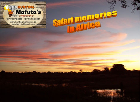 WhatsApp Image 2026-03-02 at 3.03.05 PM (2).jpeg