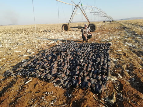 WhatsApp Image 2026-03-02 at 3.03.51 PM.jpeg