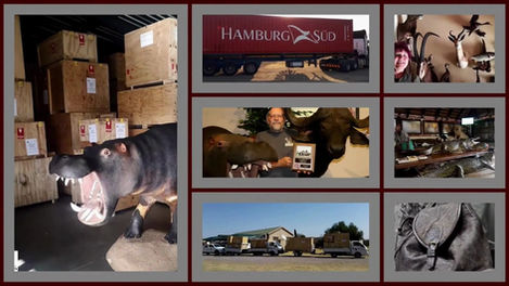 Mafutas Hunting 2024_2024-09-26_14-21-37_screenshot.jpg