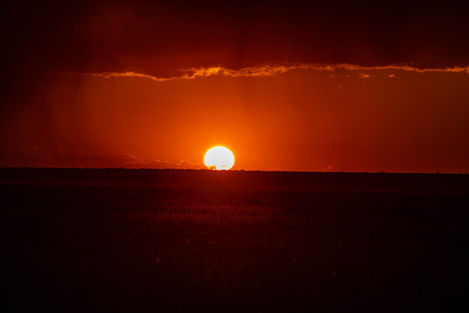 WhatsApp Image 2026-03-02 at 3.51.05 PM (1).jpeg