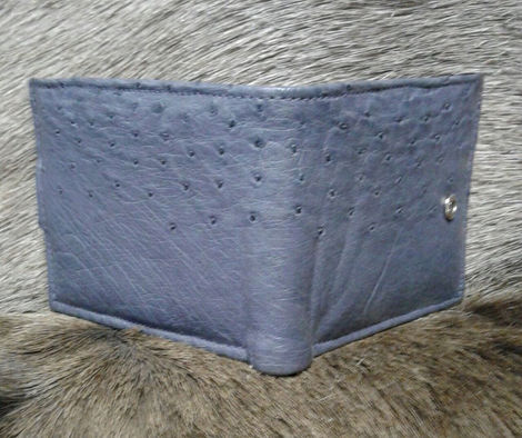 WhatsApp Image 2026-03-02 at 2.56.59 PM (3).jpeg