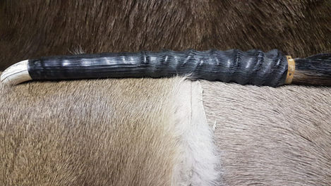 WhatsApp Image 2026-03-02 at 2.54.56 PM.jpeg