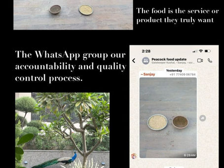 PEACOCKS IN THE GARDEN – A Client-Centric Business Strategy