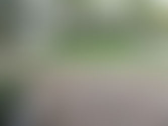 WHEN GARDENS TEACH US ABOUT LIFE: The Beauty of Joy Over Perfection