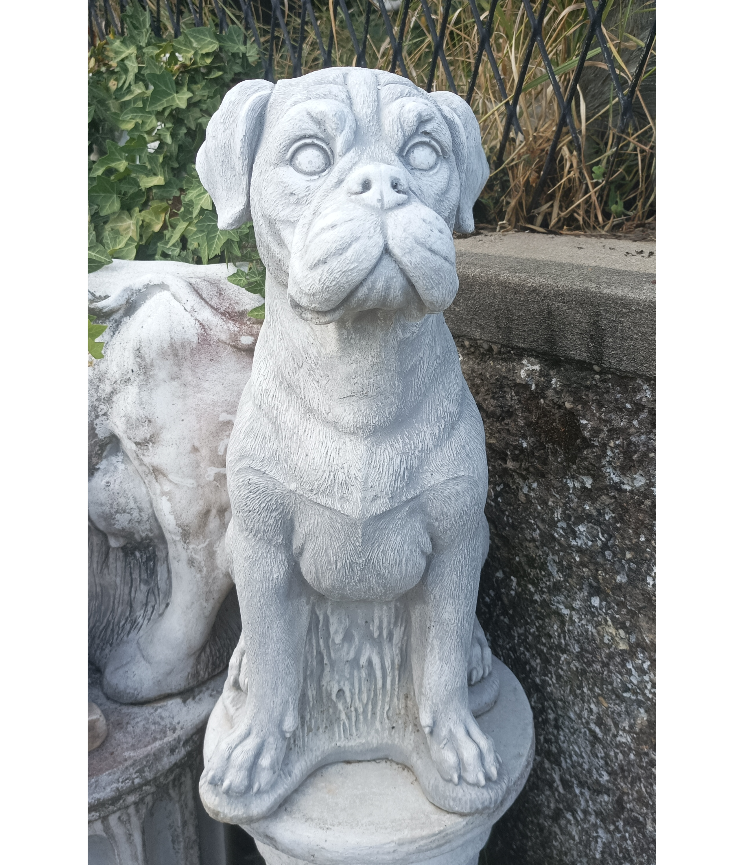 Hund "Boxer" 50 cm 35 kg Steinguss massiv