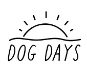 dd_logo1_1-1.jpg
