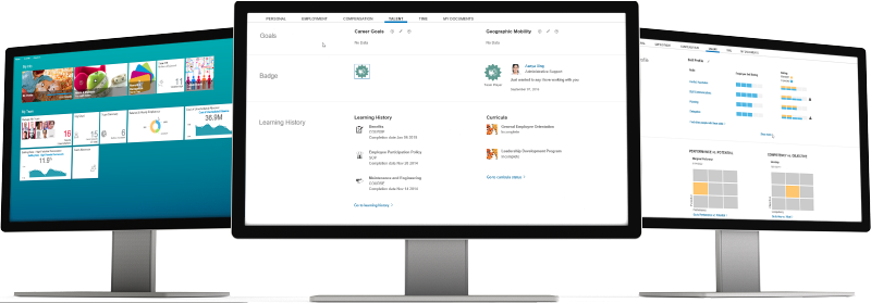 SAP SuccessFactors Employee Central Payroll