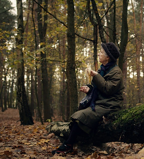 Wald_edited.jpg