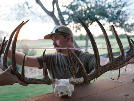 South Texas Deer Contest
