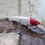 Thumbnail: Noeby Trolling Lure NBL 9737 (140mm)