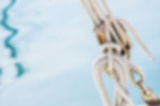 AdobeStock_100284213.jpeg