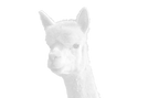 JPS_1873_edited_edited_edited.png
