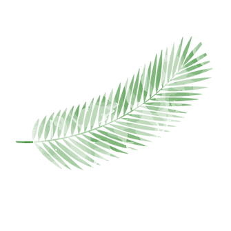 Virtual PALM icon