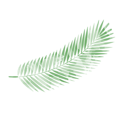 Virtual PALM icon