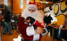 A Santa-paws Adventure at Clubhound in Boise: