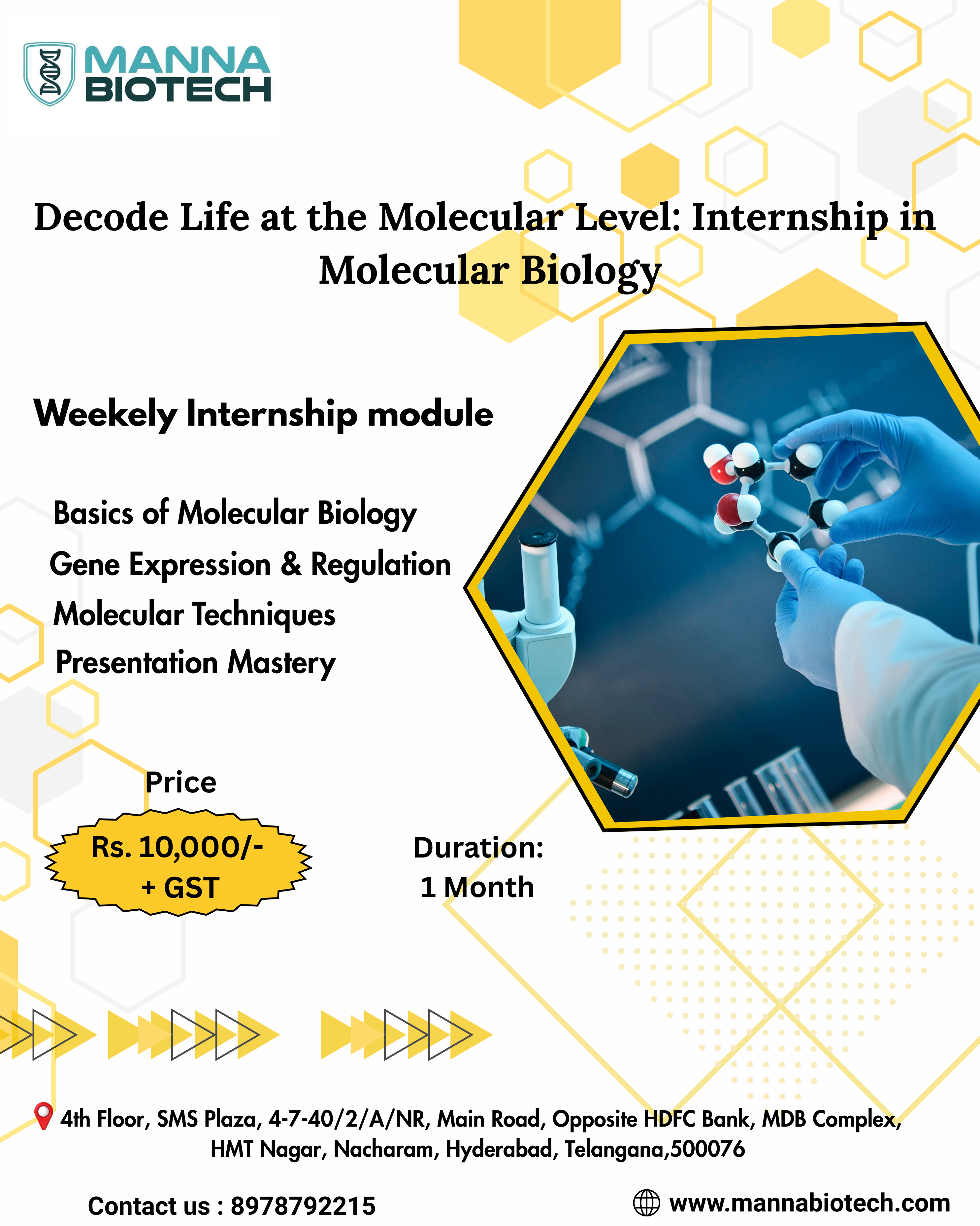 Internship in Molecular biology