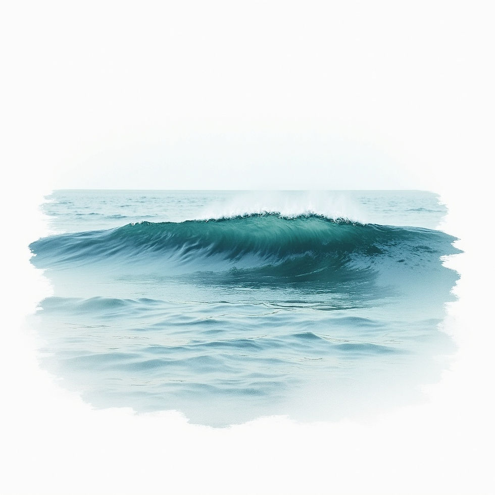 Coastal Wave Study