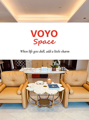 VOYO Space.jpg