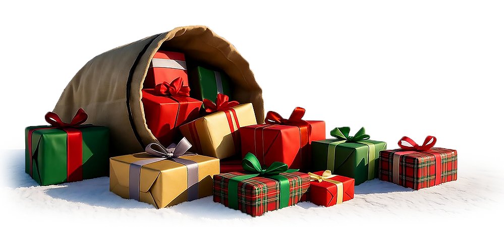 present bag smaller.tif