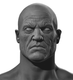 head