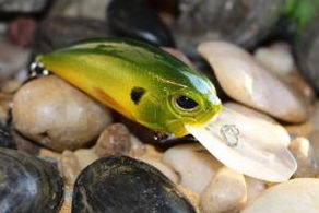 Custom Cranks Texas Style: Forage Lures
