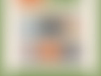 Special Election for GA State Senate | District 18