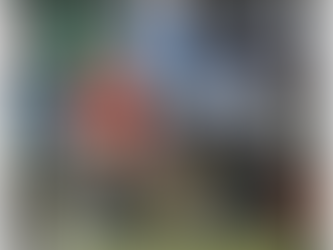 Paralymp-н шилдэг 5 тамирчид