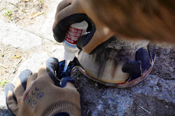 Glue on Tabs Wolf Busch (former RB Carbon)