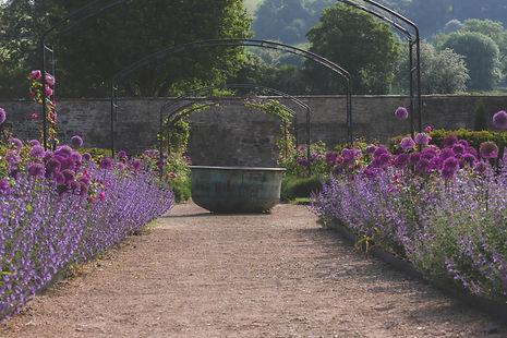 View of large water bowl in walled garden flanked by purple planting