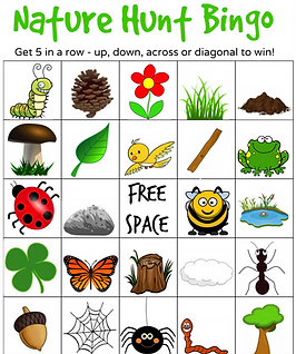Nature Bingo 1.png