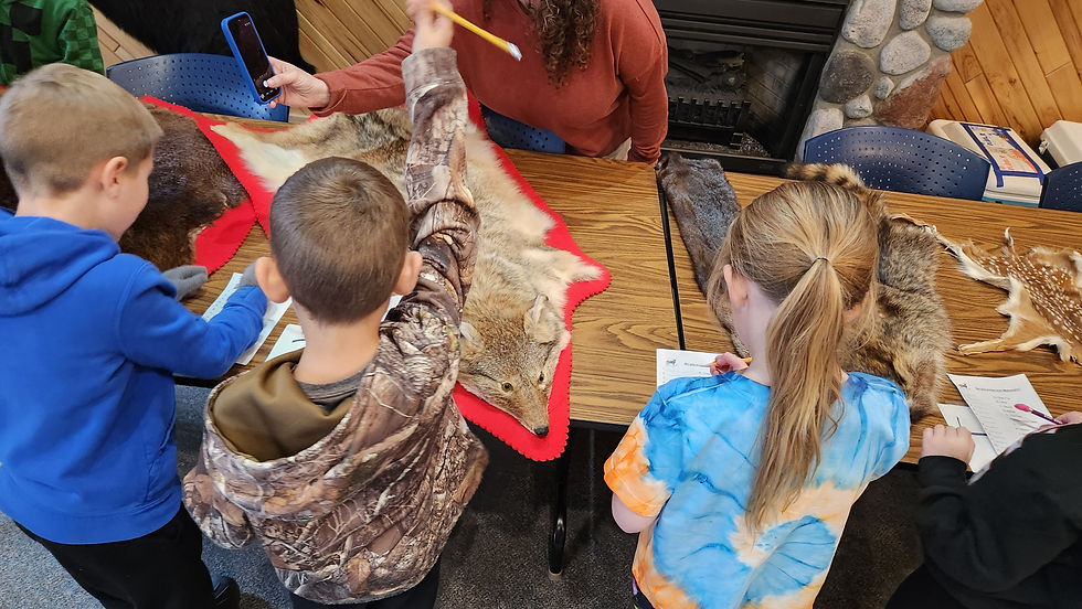 Junior Investigators: Mammals