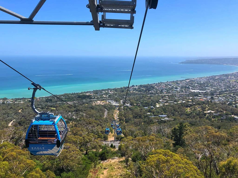 Mornington Peninsula Camp