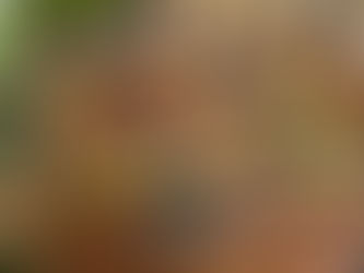 Supermercados, los grandes ganadores durante pandemia