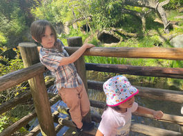 IMG_8500.jpeg