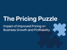 The Pricing Puzzle: Impact of Improved Pricing on Business Growth and Profitability
