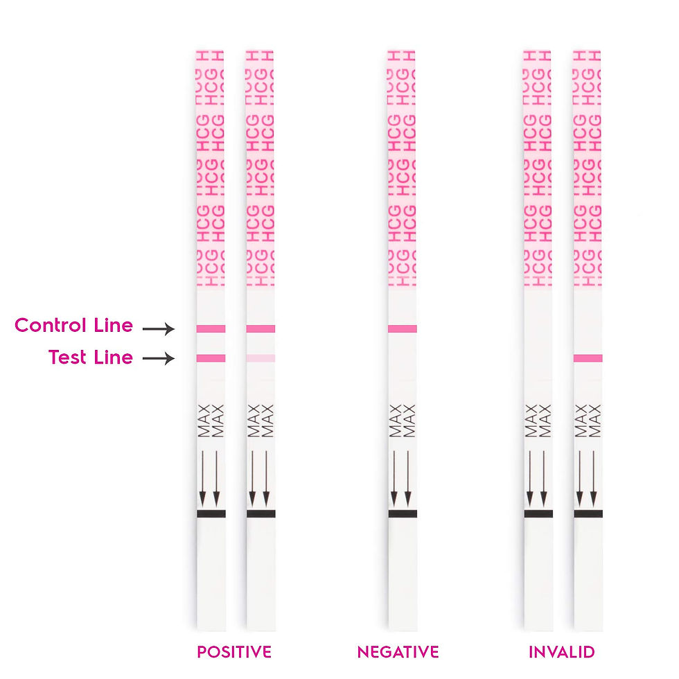 Pregnancy test stripe results