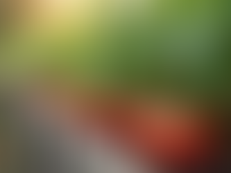 How to Build a Healthy nutrition plan to keep you at tip top shape