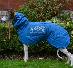 _DSC3246_edited.jpg