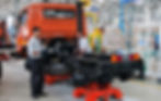 plant1.jpg