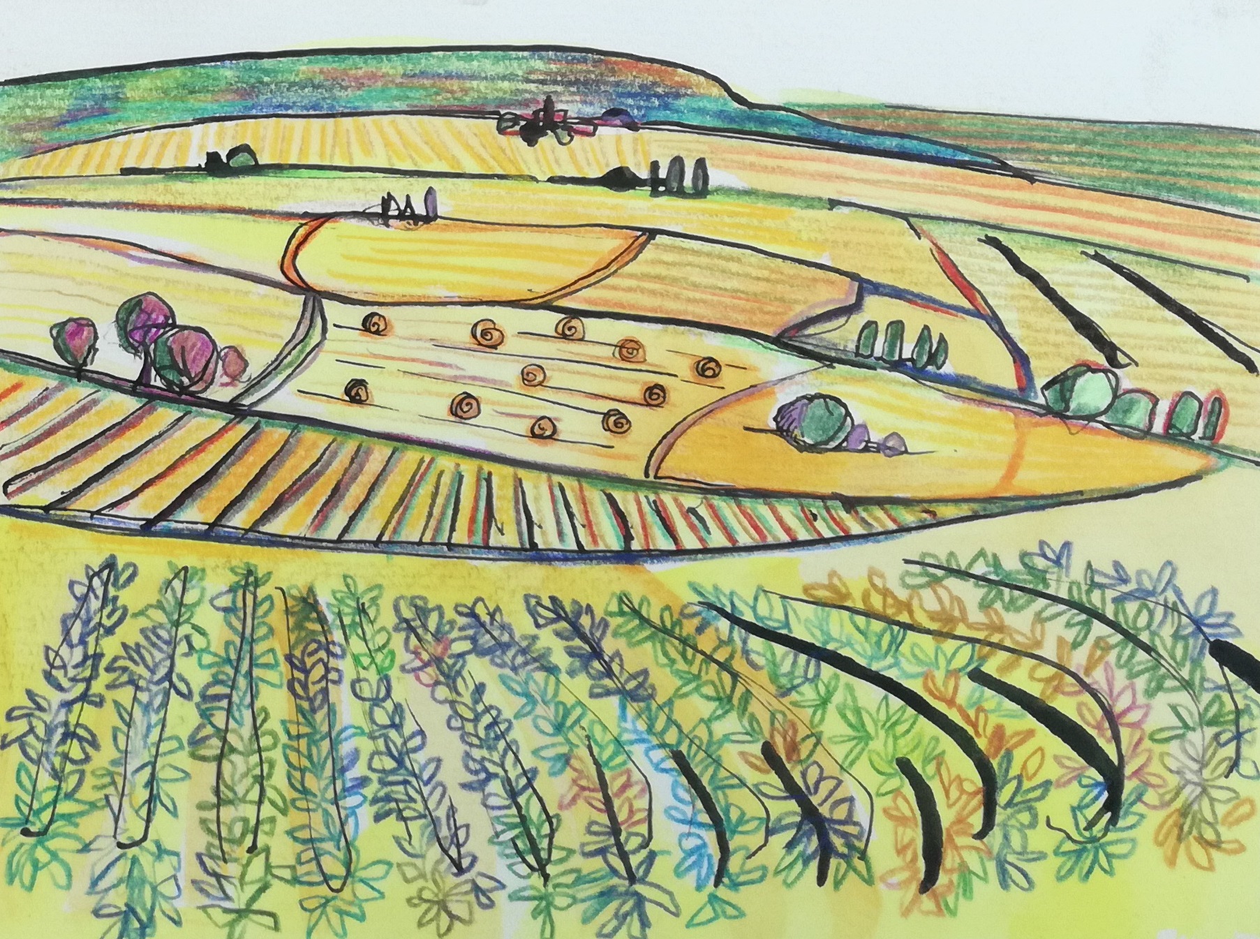 Bourgondisch Landschap