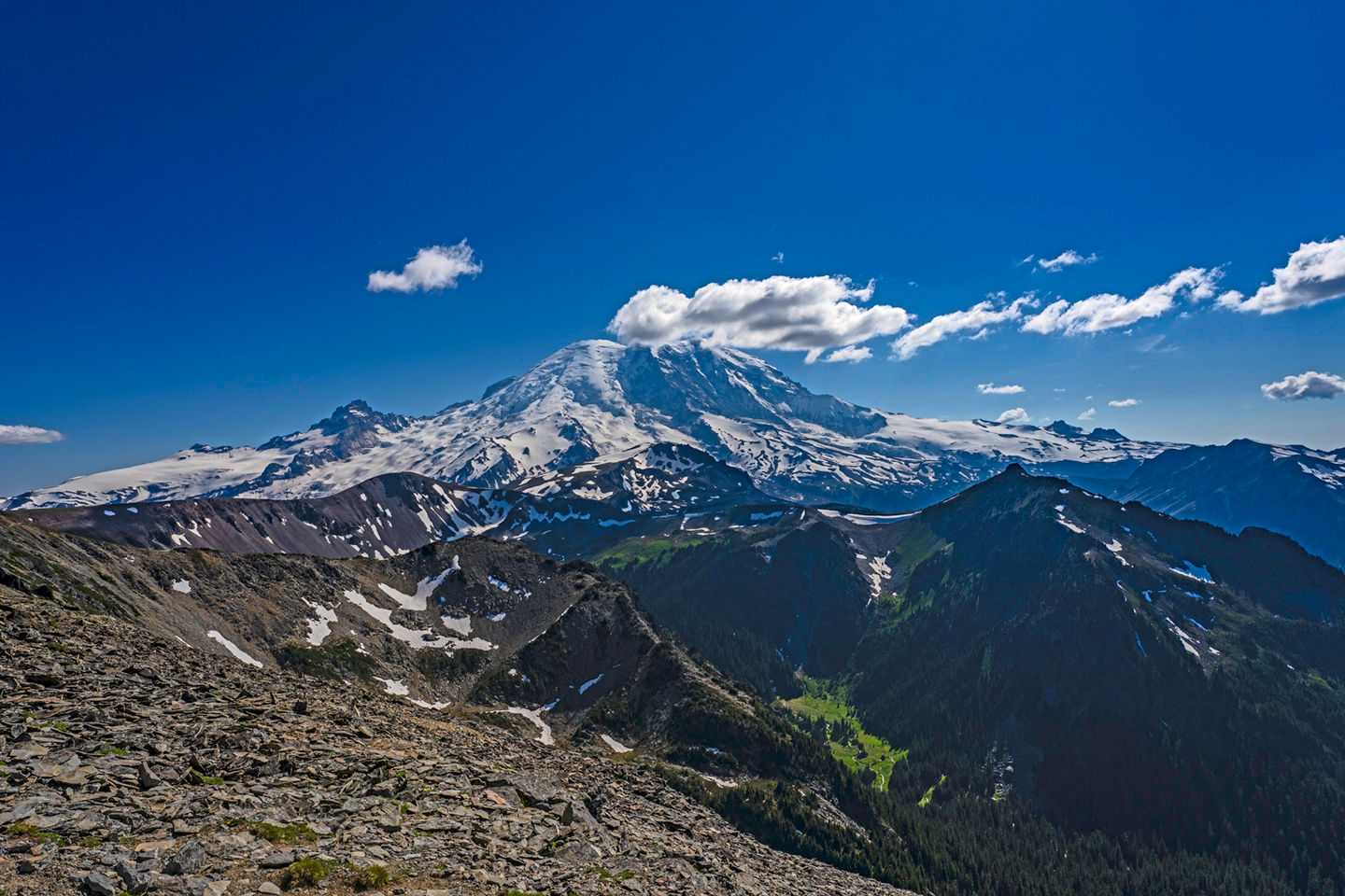 Rainier 2022 Full Frame Fremont