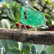 IMG_5564.jpeg